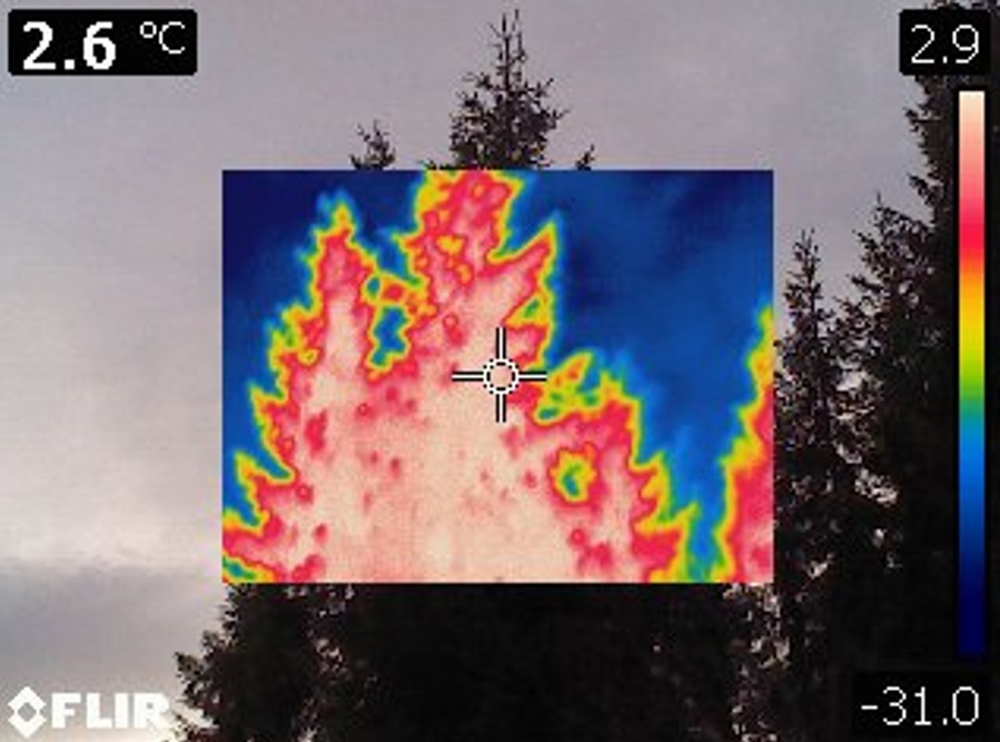 Image of Thermal Canopies